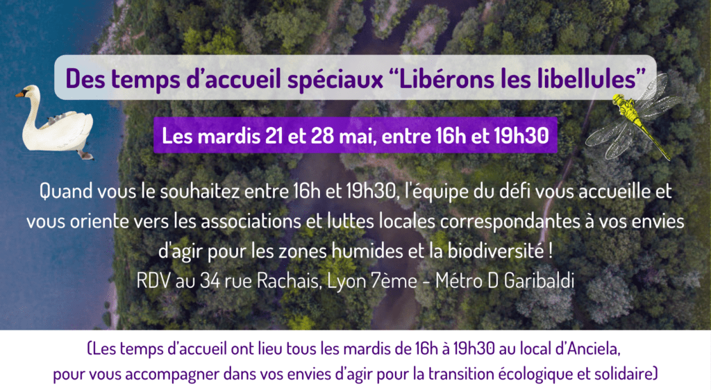 Les temps d'accueil spéciaux du défi