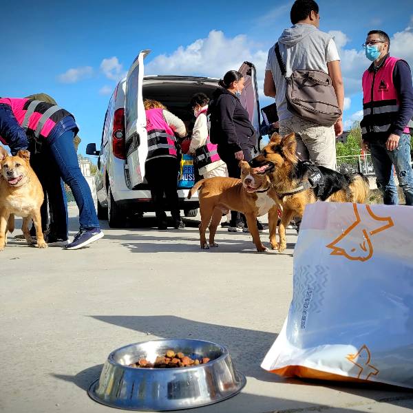 Soutenez les personnes en situation de précarité et leurs animaux