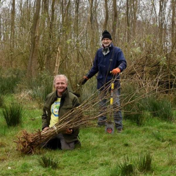 Récoltez de jeunes arbres avant qu’ils ne soient détruits