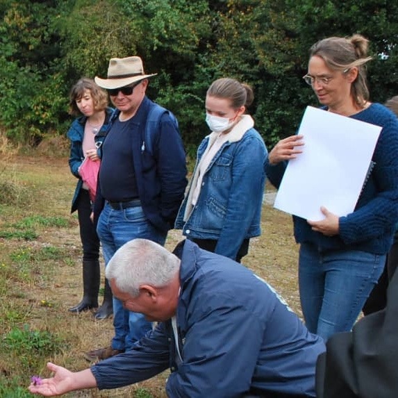 Devenez « pollinis’acteur »