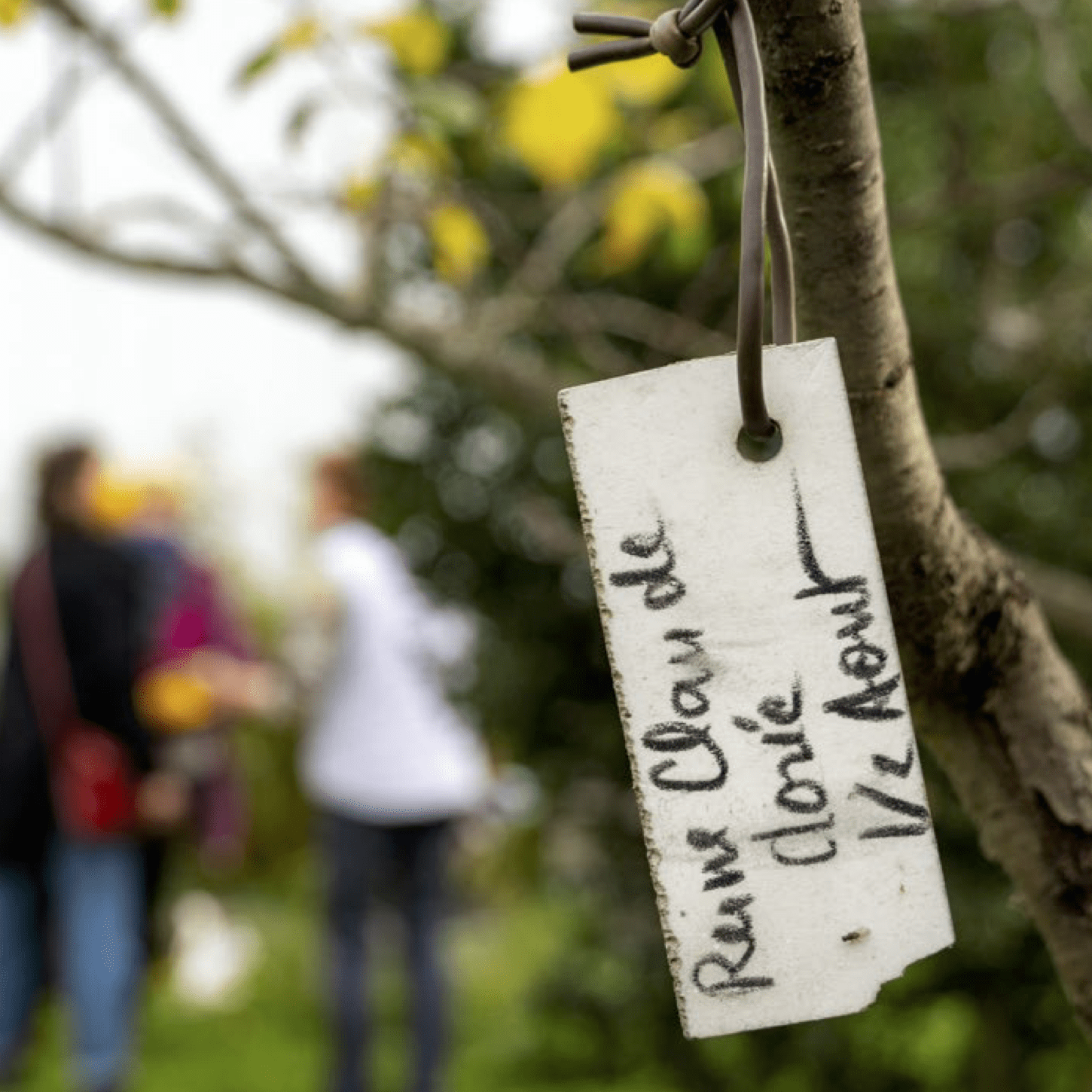 Des pommes à (faire) croquer