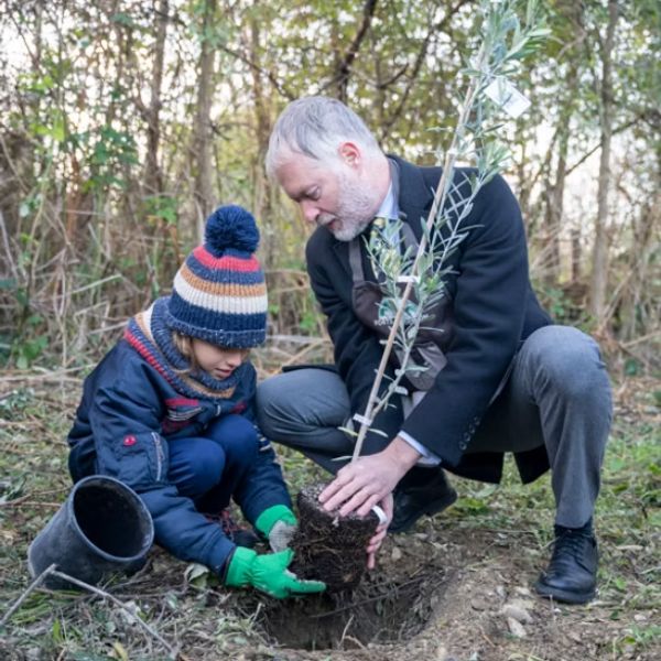 Participez à la vie d’une forêt-jardin à Neyron