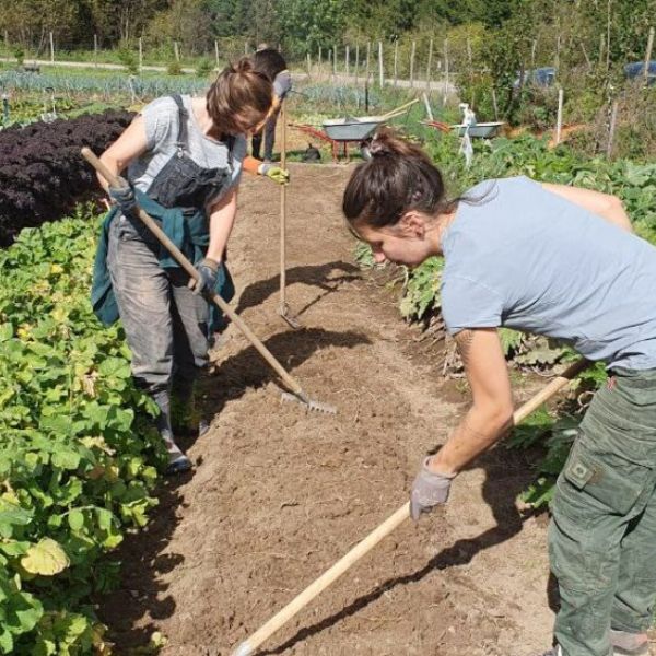 Cultivez la terre d’un jardin solidaire pour se nourrir les uns les autres