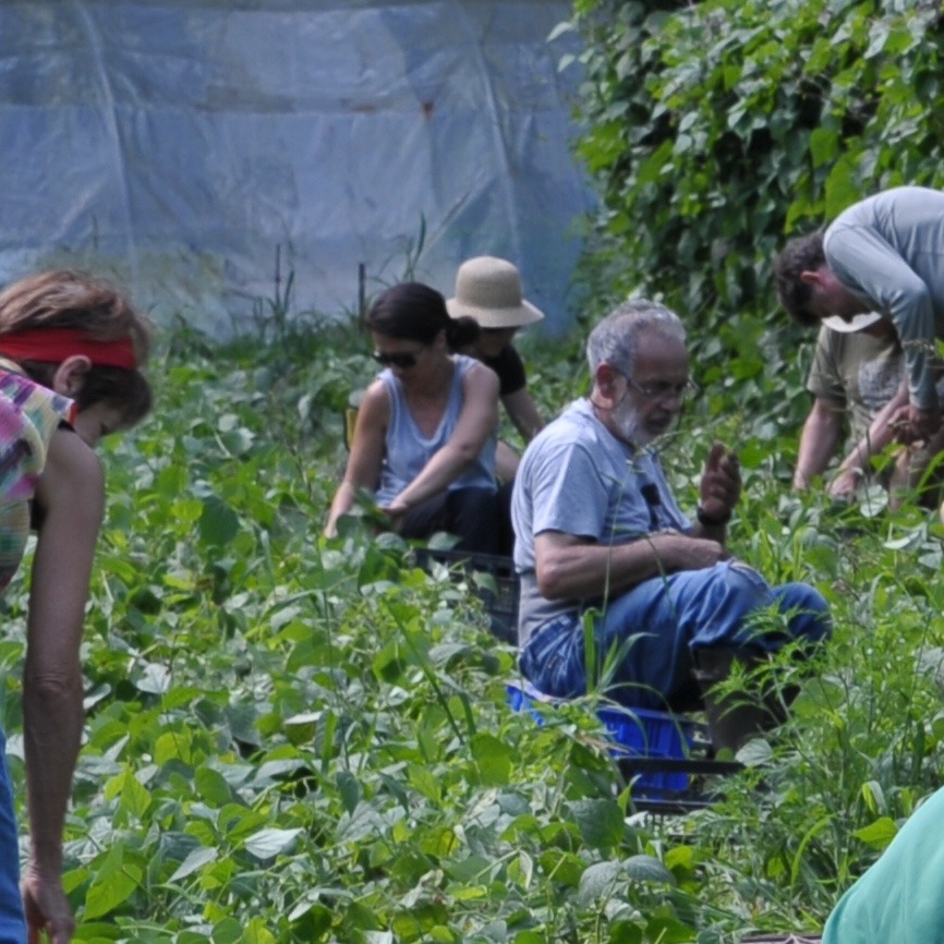 Jardinez ensemble au Jardin d&rsquo;Emile
