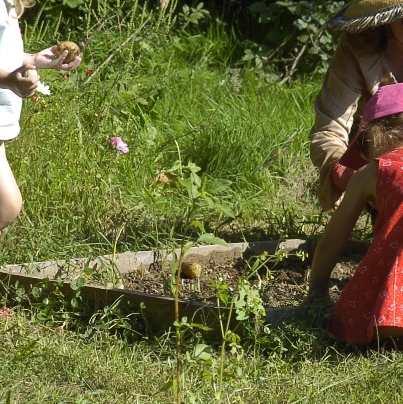 Devenez bénévole jardinier au jardin pédagogique du Centre Social Sauvegarde